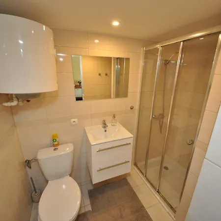 Dzika Plaza Homestay *